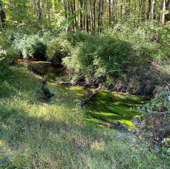 244541638 692996288325530 7721226229976224749 n 17917805917895364