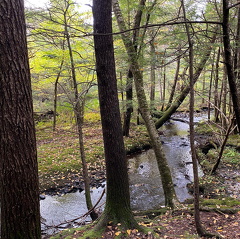 244629896 1059949564542144 2307403380537849036 n 17950378507535287