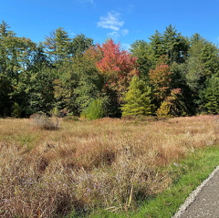 244642123 1814181098764958 5284339361016136095 n 18247793923070492