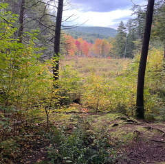 244680371 615661433132107 6031702079820482005 n 17925212704855051