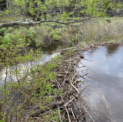 179121656 290383879237382 5123628819226354737 n 17884514711220584