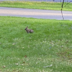 179993761 4014716285260884 5903286358209711052 n 18108719047232433