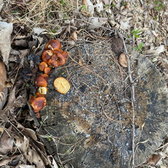 180779860 877535366130144 7637981475514375367 n 17874304271372563