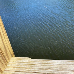 182195337 190429619573932 4447134094886159550 n 17988763600335456