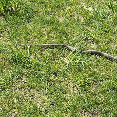 182274984 283741430141979 2555362890610788409 n 18180900817104049