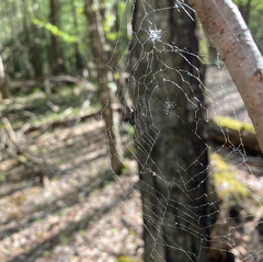 182313631 749343649062737 7797853263146597968 n 17905292299793065