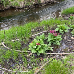 182352067 276616634165902 1482744269884250501 n 17866775489436337