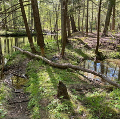 182561629 1164754700663239 150179222339416262 n 17889340661067933