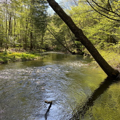 183135094 950717889029255 4946018625804289081 n 17916124861671258