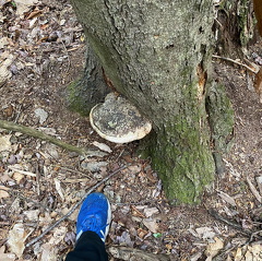 190807713 329786685350541 5462933222757674850 n 17918985856672267