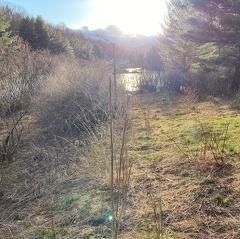 166802485 465141688260137 976868118289620402 n 17922424822555023