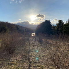 167369368 2517738865188474 8143492368581363062 n 18069890845274365