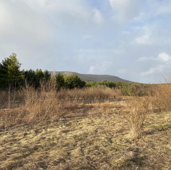 167414472 468845147878392 3976029421298051906 n 17898015721901445