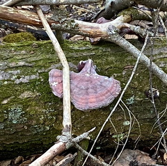 167530713 3498902023548712 2596027624206506719 n 17845658423563942