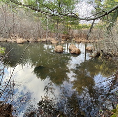 167717972 351011829683971 3247849878888359273 n 17908908088681515