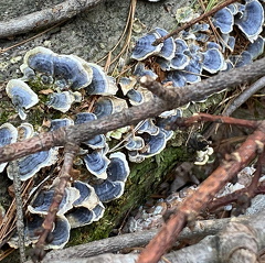 167923769 908688509919923 9172130489256228120 n 17862358703438324