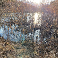 167936517 183205140134835 7789059799972841659 n 18104706073228669