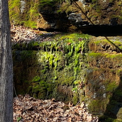 167960227 165343992116542 4075390275282754788 n 17876832662328064