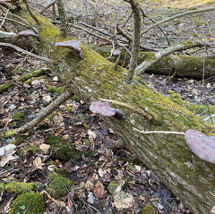 167983328 286969159607412 1543117550828858986 n 18140804269196093