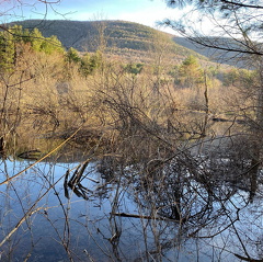 169263776 467822367700998 7971322362360807017 n 18038829445288316