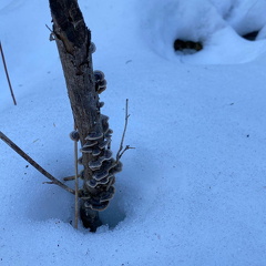 154515748 543634166553733 5899588149052549474 n 17891686165948145