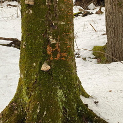 155014267 269194961393484 6469266842141385467 n 17872256303240539