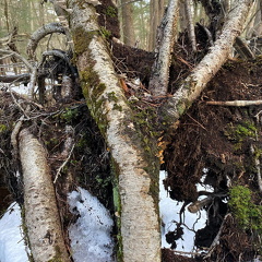 155080082 1389556204716029 8038166088670965834 n 17876743112145538