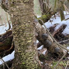 155089203 2923684754581431 3415465456415209705 n 17848046141527516