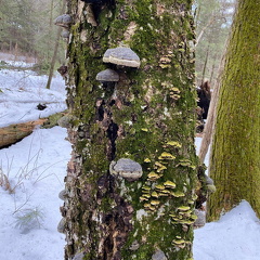 155154383 205748937968502 6606692503115873847 n 17906682964707703