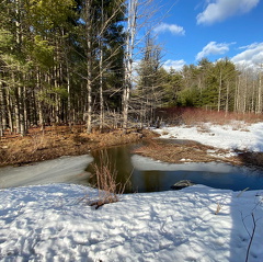 155212630 437038880738400 2154288815455325506 n 18194683702049008