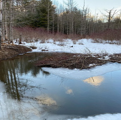 155315056 503951127255281 2943092793290591864 n 17862536069466103