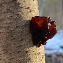 155489285 4368563329838943 475145633319048538 n 17916624433590497