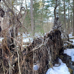 156073148 261534048837757 1916222476086292874 n 18104340739212322