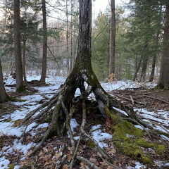 156161387 204495244751525 3965556034166673534 n 17886453119028285