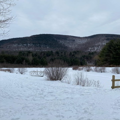 149176694 1231309500604634 2904232679426247738 n 17900706517759727