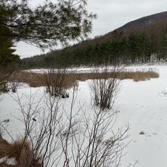 149238251 328825091840237 5275883106845999392 n 17884287560066896