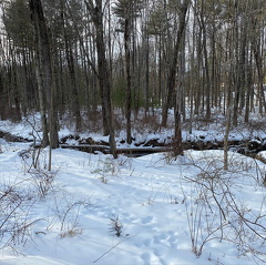 149388193 445731833335601 6451969778103449412 n 17897448496834401