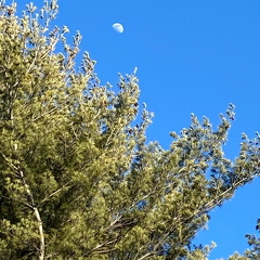 151982806 1784092805086351 6376084003260481945 n 18066725200300543