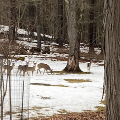 152356355 2164545020349103 887582075237037514 n 17872403804230725