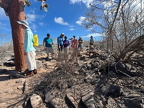 Galapagos, Feb 2026
