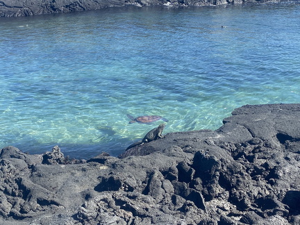 641512488 10166698226387542 8006259084914307866 n